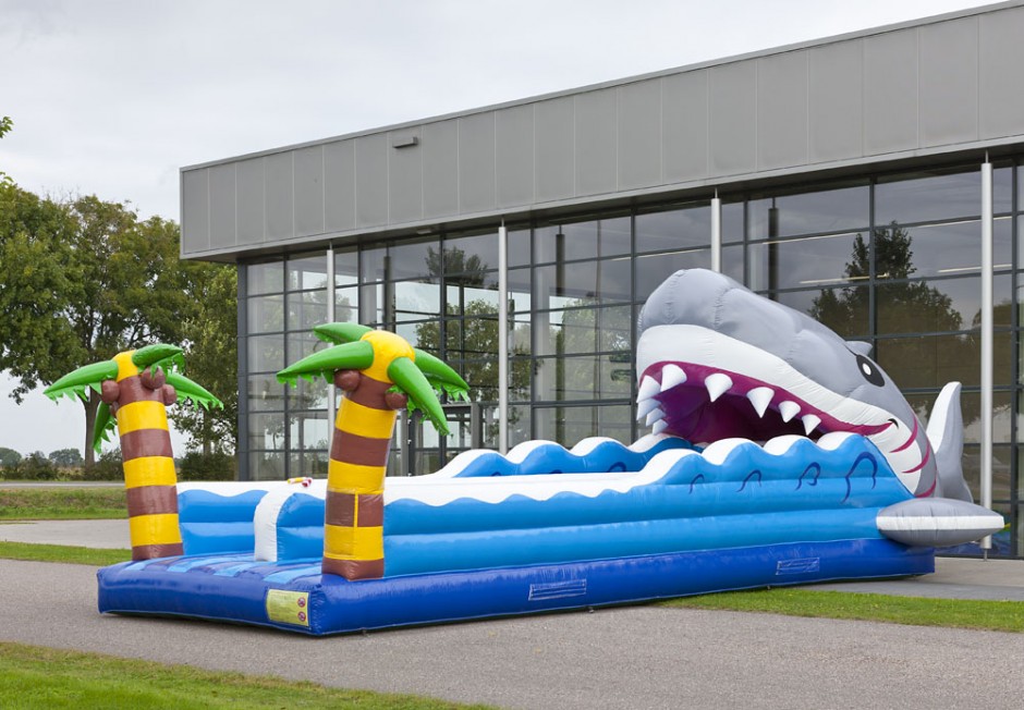 Bungeerun Requin 